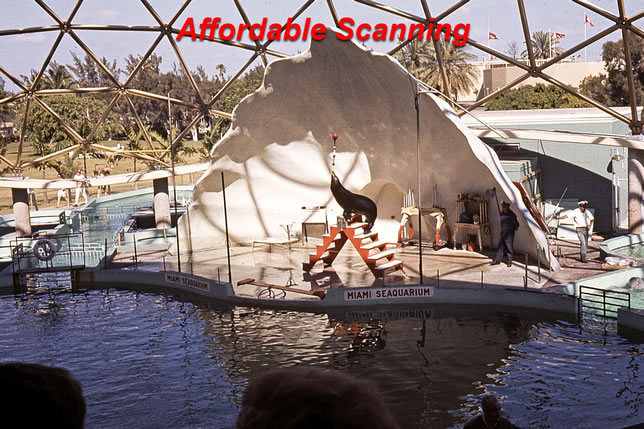 Affordable Scannings scan of seaquarium slide