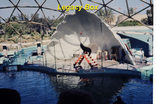 Legacy Box mountain scan of seaquarium slide